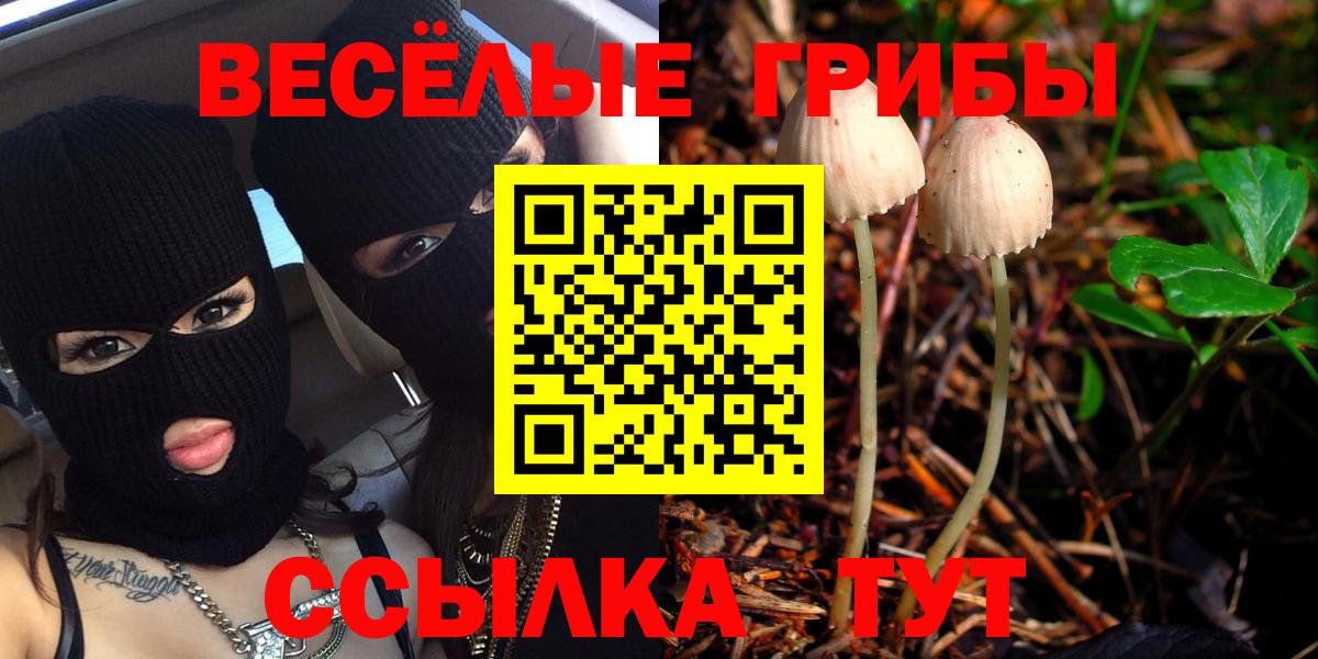 Галлюциногенные грибы ЛСД Барнаул